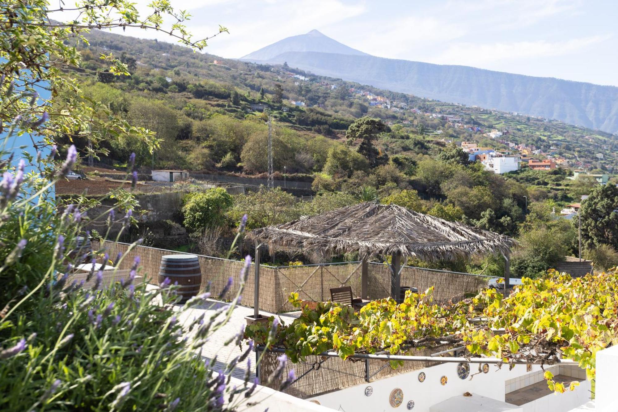 Ek Teide Finca El Milagro Ля Оротава Экстерьер фото